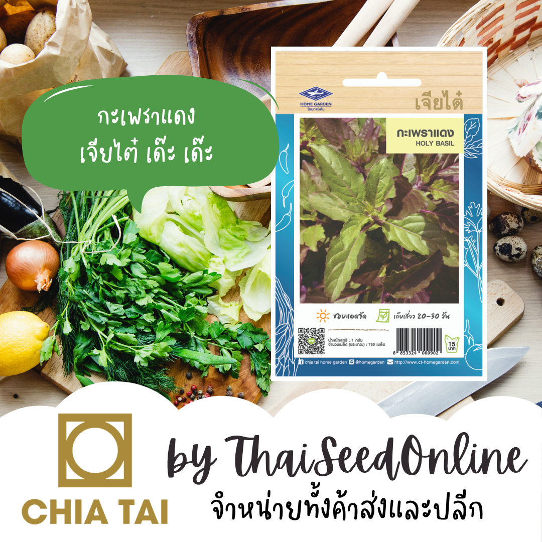 CTOP เมล็ดพันธุ์ กะเพราแดง ตราเจียไต๋ Holy Basil Red Stem