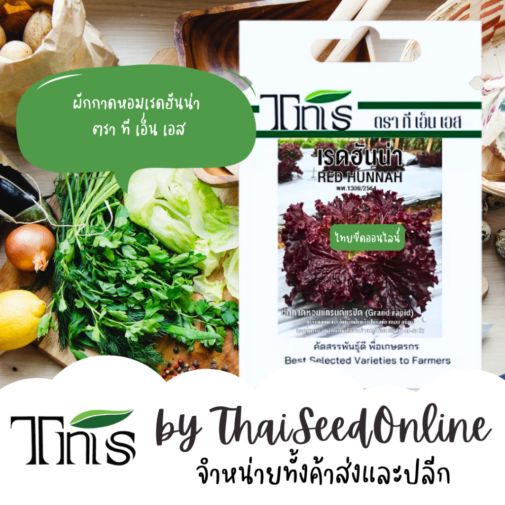 TNS(ทีเอ็นเอส) TNS(ทีเอ็นเอส) TNS เมล็ดพันธุ์แบบซองเล็ก ผักกาดหอม ผักสลัด แกรนด์แรปิดส์ เรดฮันน่า ตรา ที เอ็น เอส Lettuce