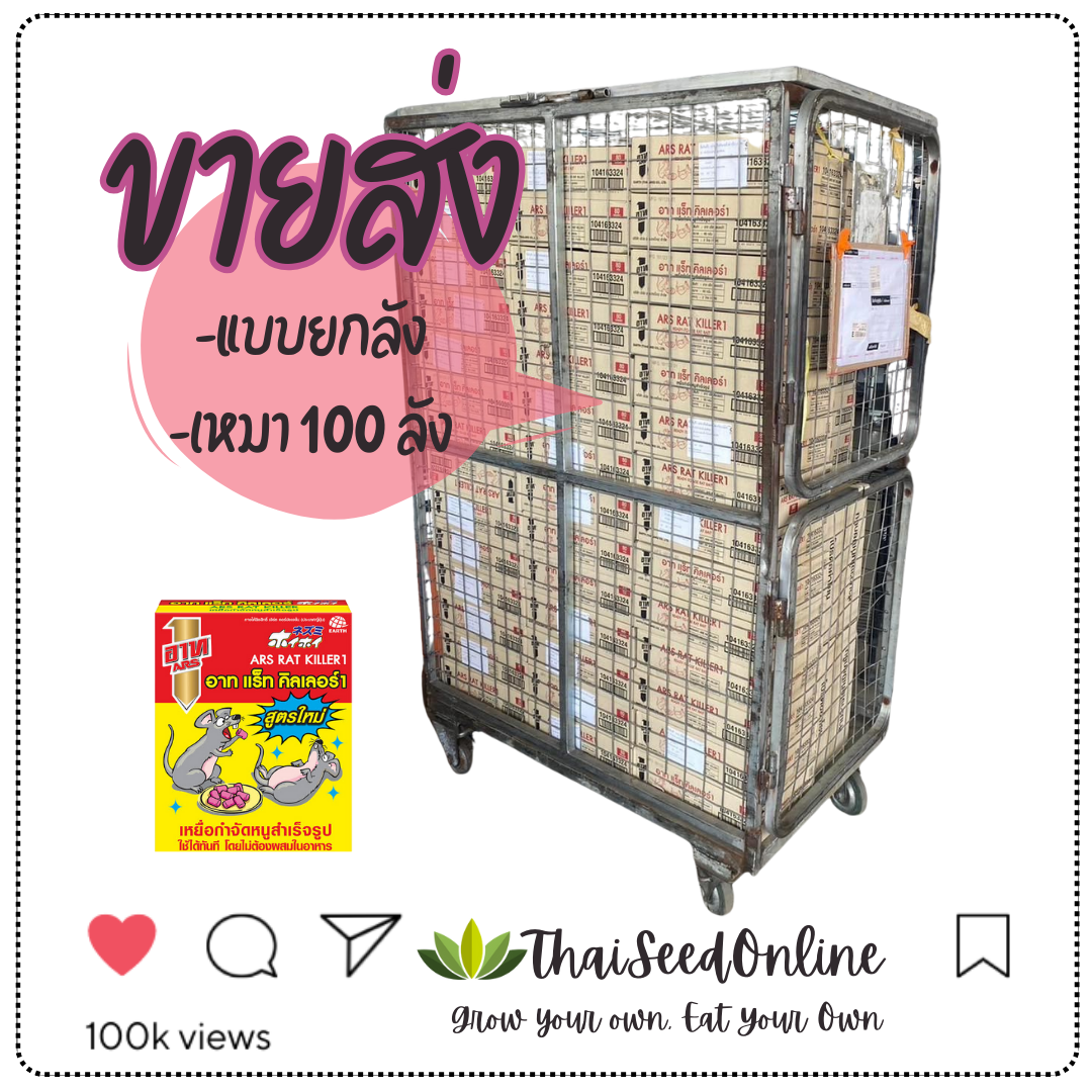 📦 ยกลัง📦 อาท แร็ท คิลเลอร์ 80กรัม (1 ลัง มี อาท 80กรัม จำนวน 24 กล่อง)ยาฆ่าหนู ยาเบื่อหนู ยากำจัดหนู