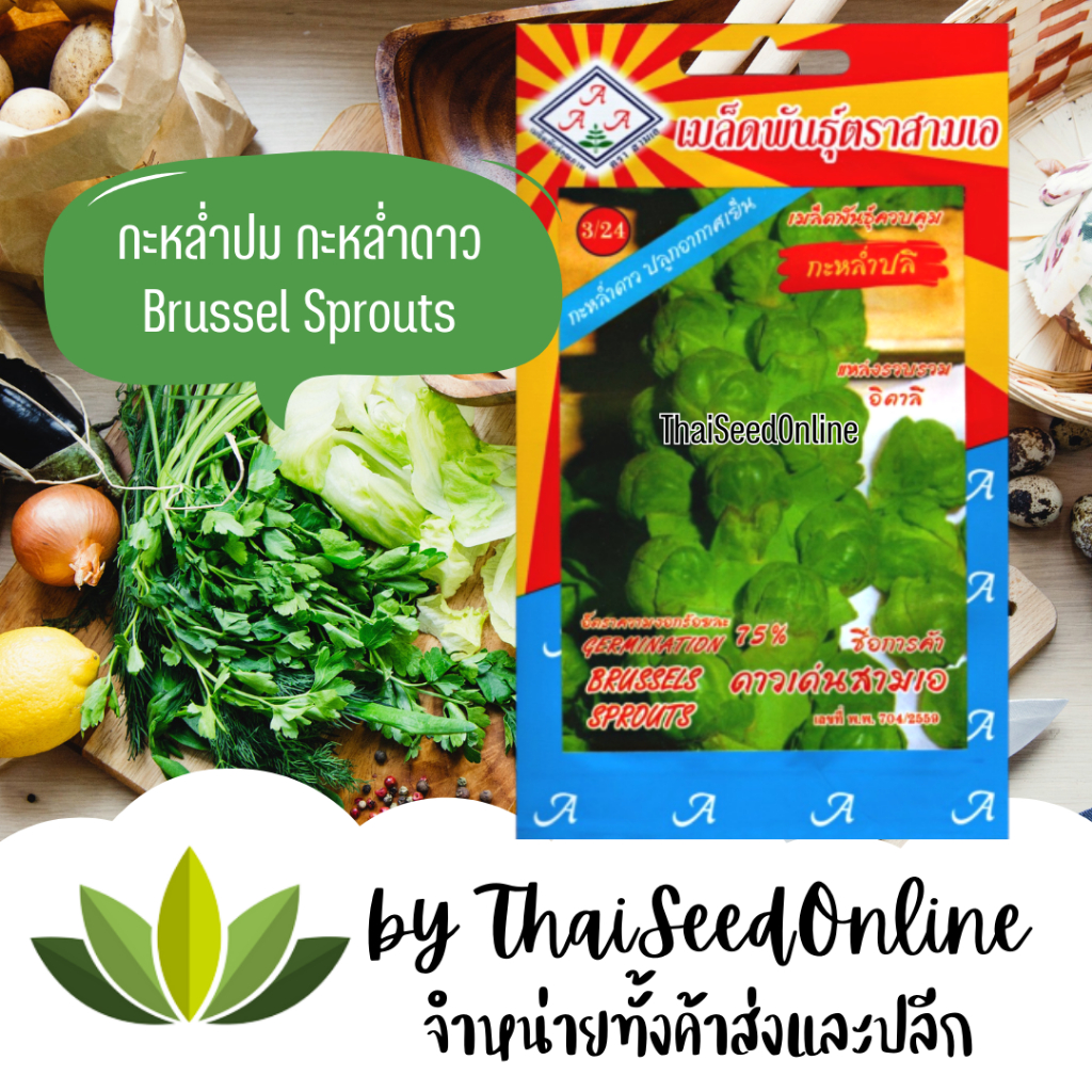 3A(สามเอ) 3A เมล็ดพันธุ์ กะหล่ำดาว 100 เมล็ด ตราสามเอ Brussel Sprouts