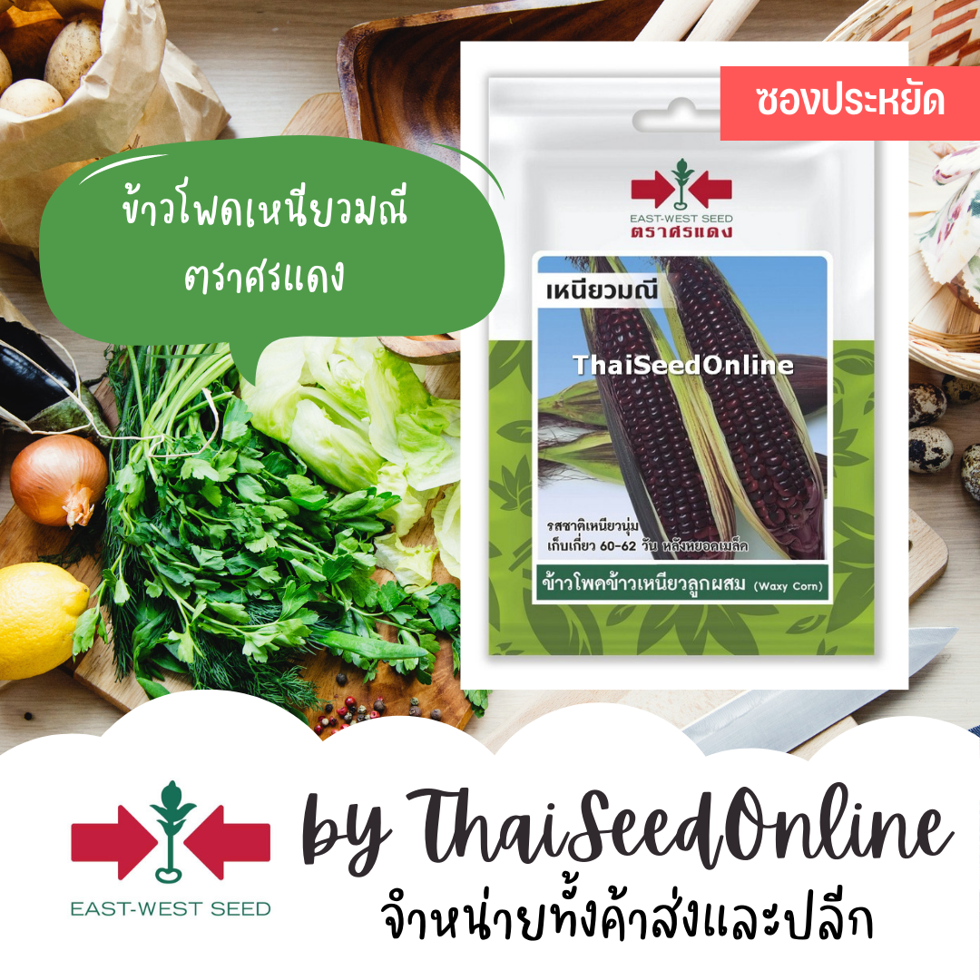 ศรแดง VP3 ซฟ เมล็ดพันธุ์ ข้าวโพดข้าวเหนียวลูกผสม เหนียวมณี 20เมล็ด ตราศรแดง Corn