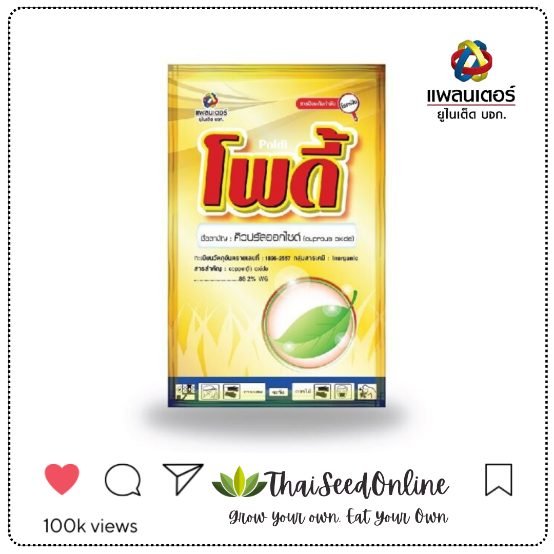 PTU โพดี้ 100กรัม Cuprous oxide 100g. แก้ขอบใบแห้ง ใบส้ม แบคทีเรีย บริษัท แพลนเตอร์ยูไนเต็ด จำกัด