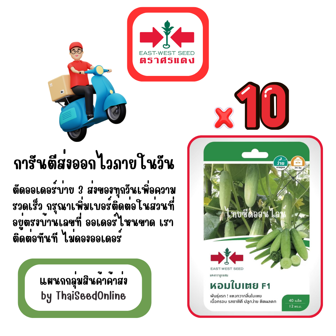 GGx10 เมล็ดผักซองศรแดง หอมใบเตย แตงกวา สินค้ายกแพ็ค