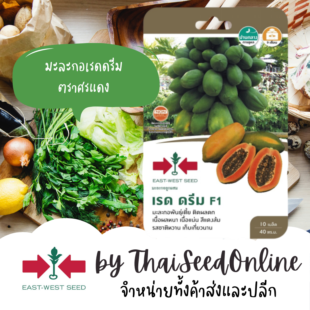 GGEW เมล็ดพันธุ์ซฟ มะละกอลูกผสม เรดดรีม 10 เมล็ด ตราศรแดง