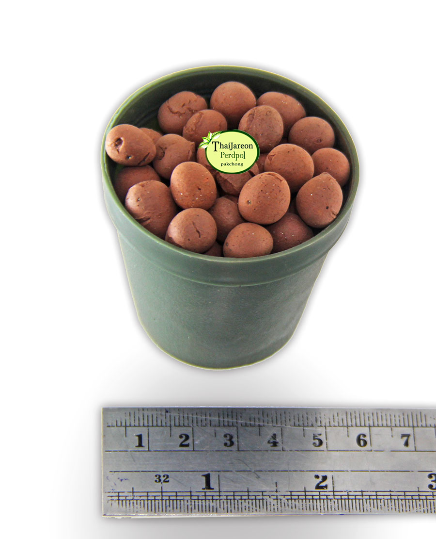 Popper / Pebbles ป็อบเปอร์ วัสดุดินเผา เม็ดดินเผา มวลเบา สำหรับ ปลูกพืช size"L" บรรจุ 1 กิโลกรัม