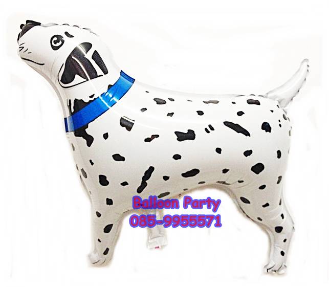 ลูกโป่งการ์ตูนรูปสุนัขดาเมเชี่ยน Dalmatian Spotted Dog Balloon