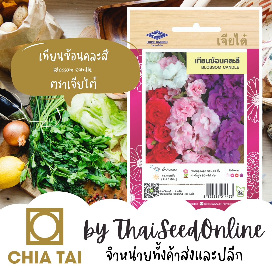 CTFW เทียนซ้อนคละสี ตราเจียไต๋ เมล็ดพันธุ์ดอกไม้ ฺBalsam
