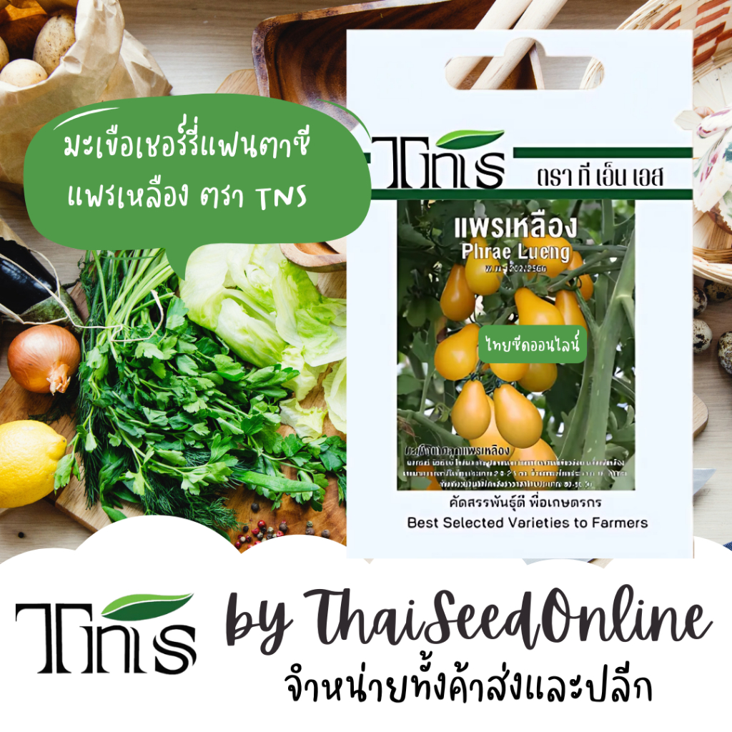Chia Tai(เจียไต๋) TNS(ทีเอ็นเอส) TNS เมล็ดพันธุ์แบบซองเล็ก มะเขือเชอร์รี่ แพรเหลือง ตรา ที เอ็น เอส