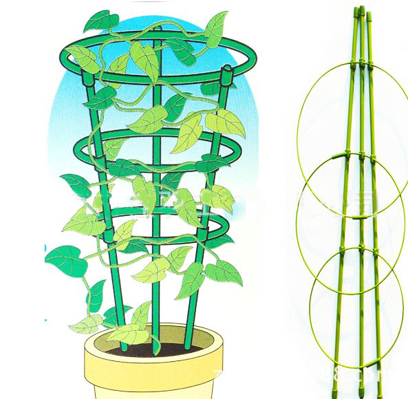 ค้างไม้เลื้อย ไม้กระถาง ลวดล้อมไม้