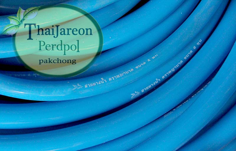 สายยาง PVC ใส สายยางรดน้ำ สายยางฟ้า หลายขนาด