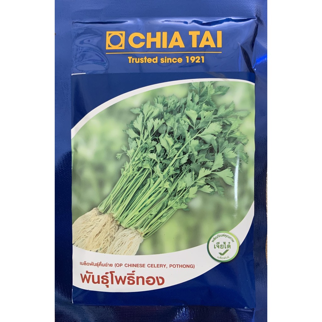 ใหม่ หมดอายุ 11/69 เมล็ดพันธุ์ คื่นฉ่ายโพธิ์ทอง 50 กรัม ตราเจียไต๋ Celery คื่นช่าย ขึ้นช่าย คื่นฉ่าย ขึ้นฉ่าย
