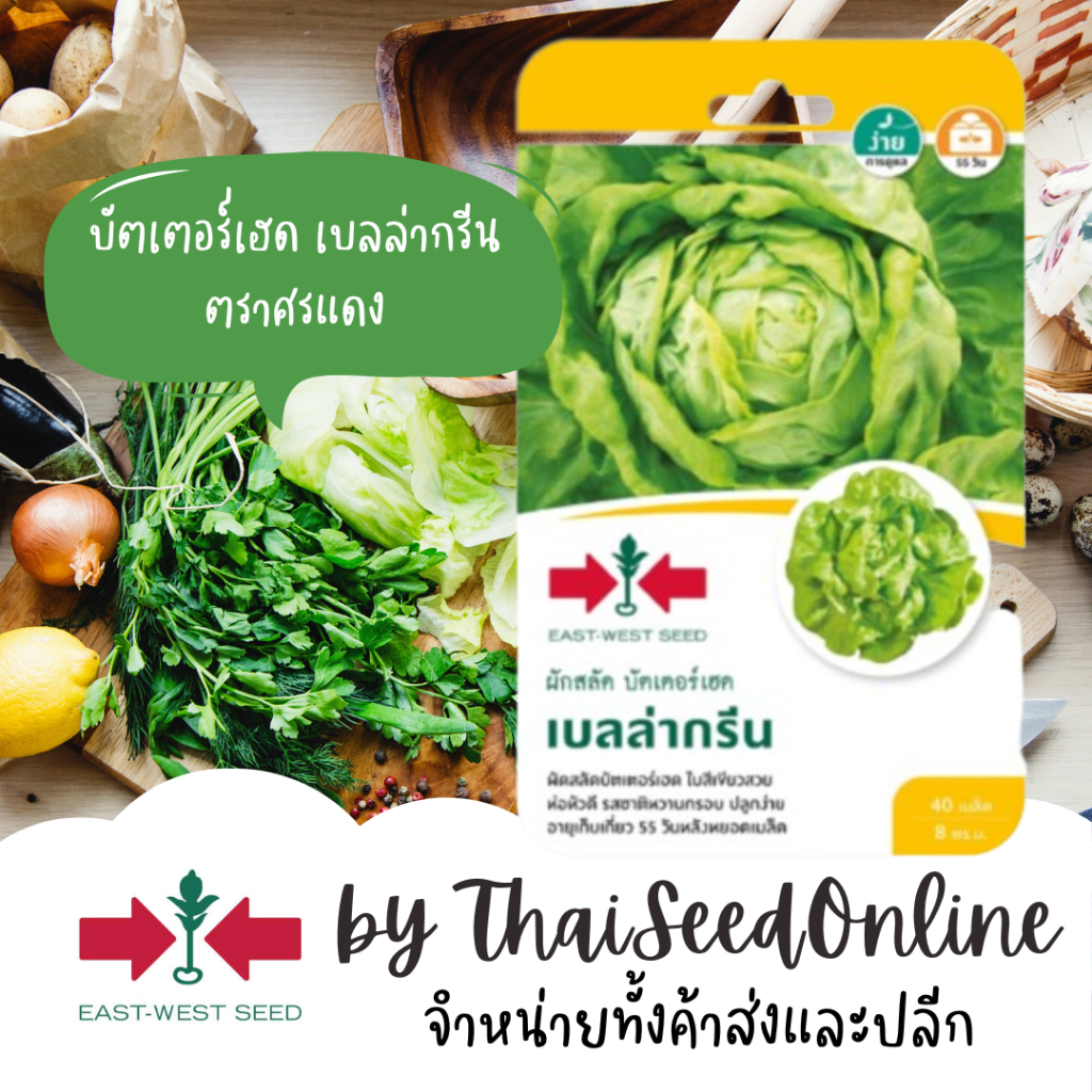 ตราศรแดง GGEW เมล็ดพันธุ์ บัตเตอร์เฮด เบลล่ากรีน 40เมล็ด ตราศรแดง Butterhead Bella Green