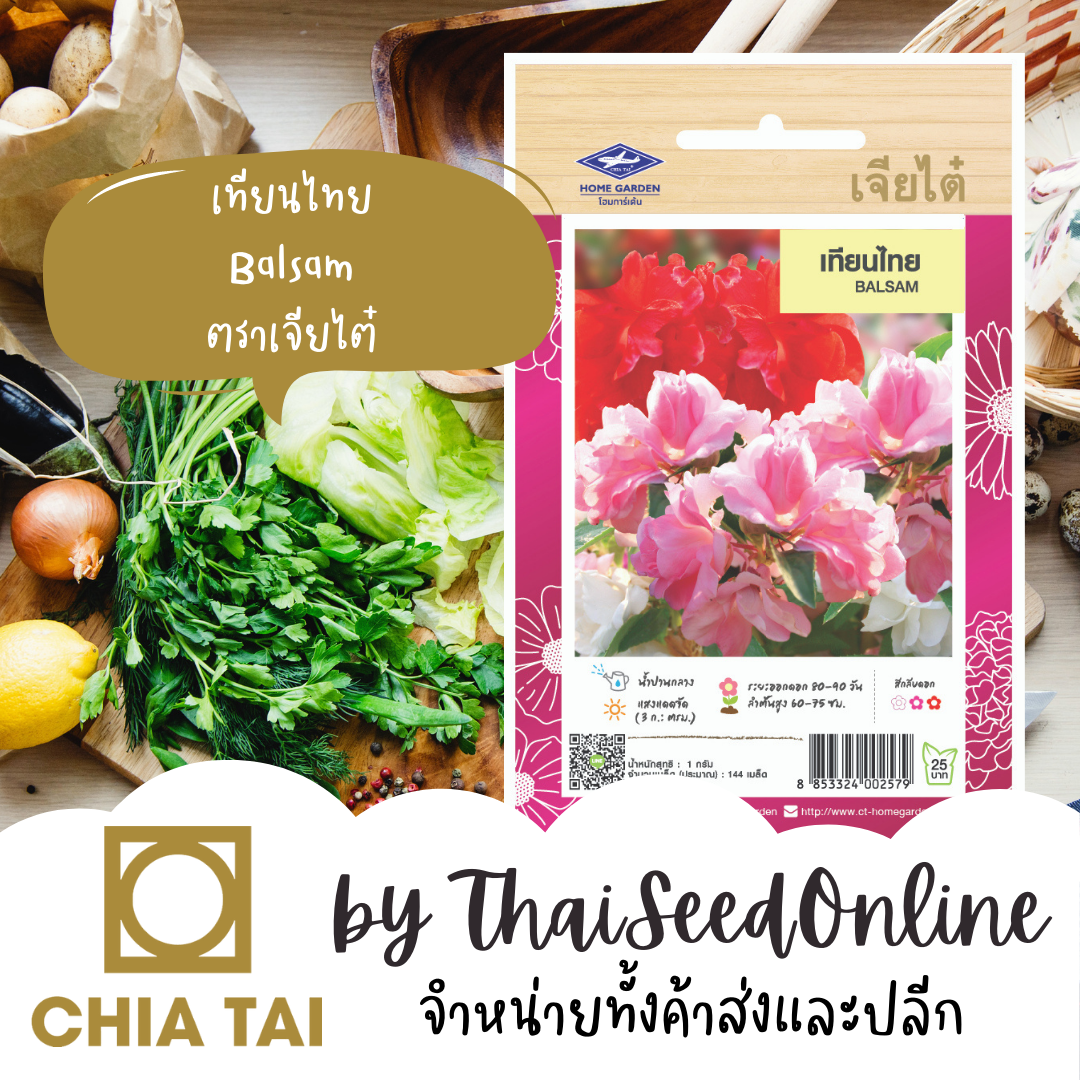 CTFW เทียนไทย ตราเจียไต๋ เมล็ดพันธุ์ดอกไม้ Balsam