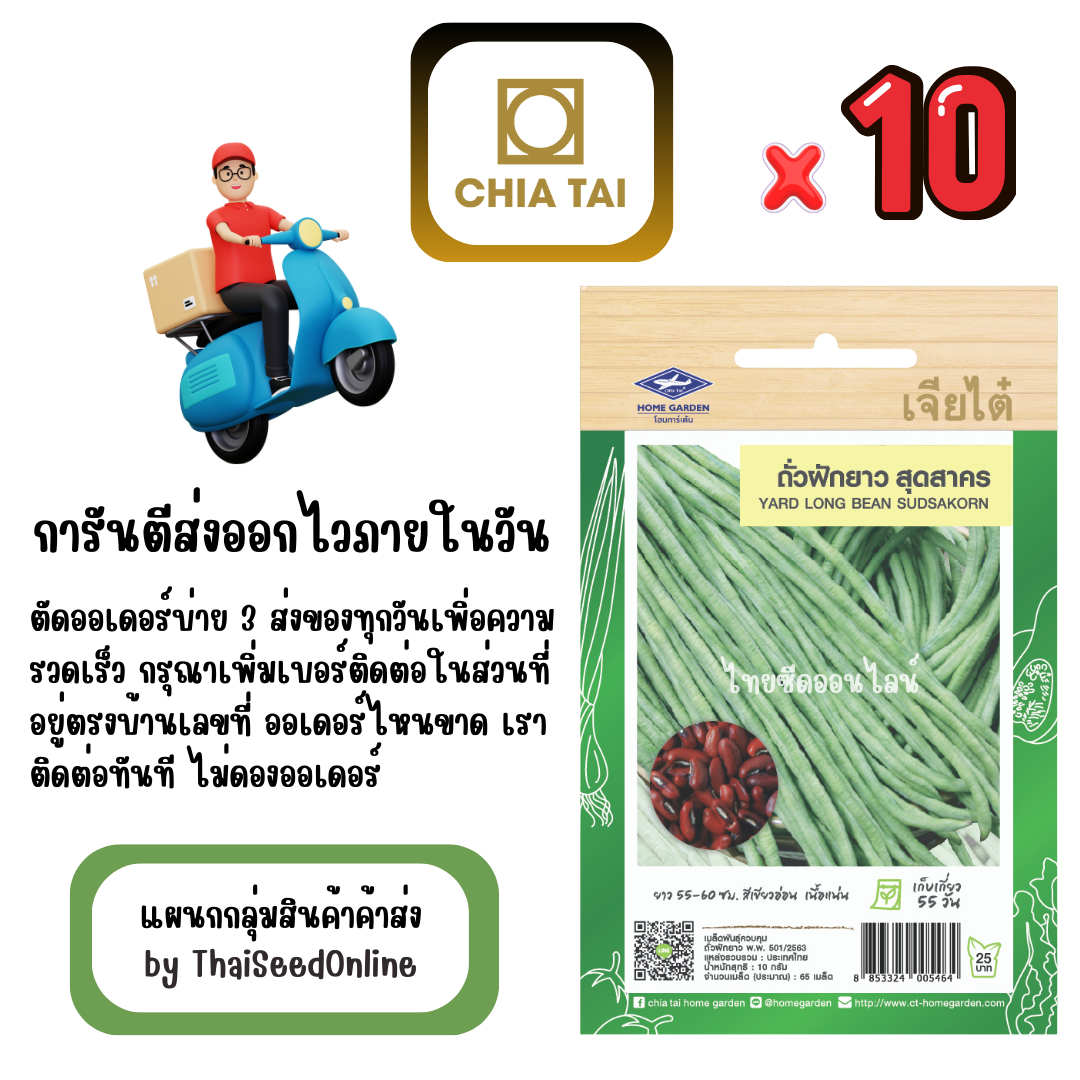 CTF1 x 10 เมล็ดผักซองเจียไต๋ ถั่วฝักยาว เมล็ดแดง สุดสาคร สินค้ายกแพ็ค