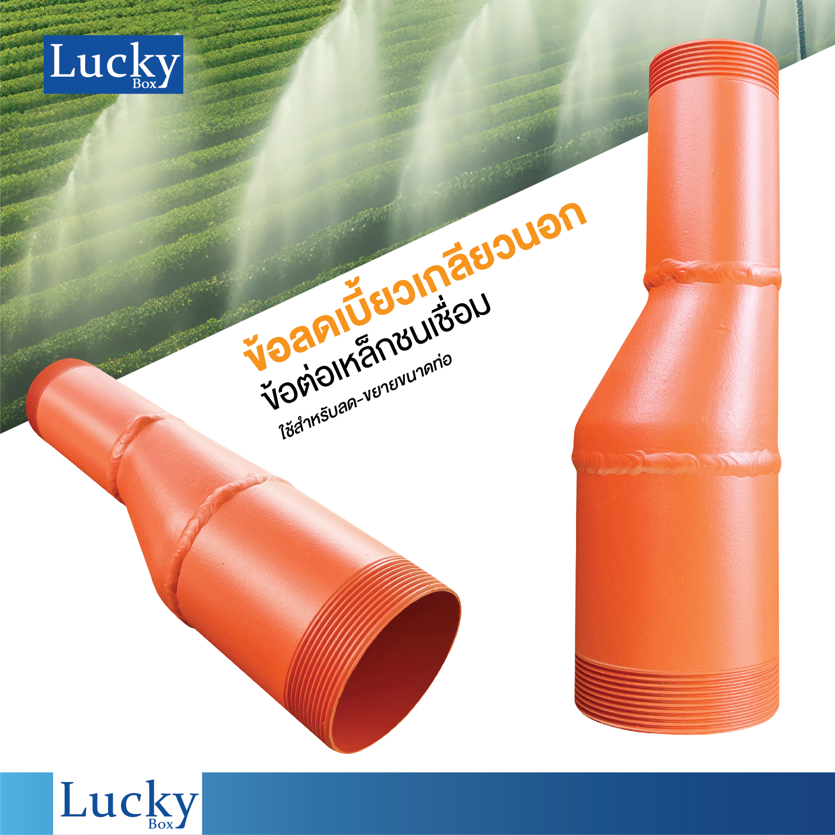 ข้อลดเบี้ยวเชื่อมเกลียว 2 ด้าน ขนาด 3x4 นิ้ว (Butt Weld Eccentric Reducer)