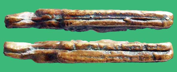 เหรียญหล่อหลวงพ่อทาวัดพะเนียงแตกรุ่นสอง องค์ที่ 1