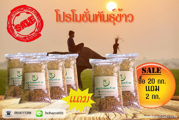 พันธุ์หอมมะลิ105 ซื้อ 23 กก. แถม 2 กก.