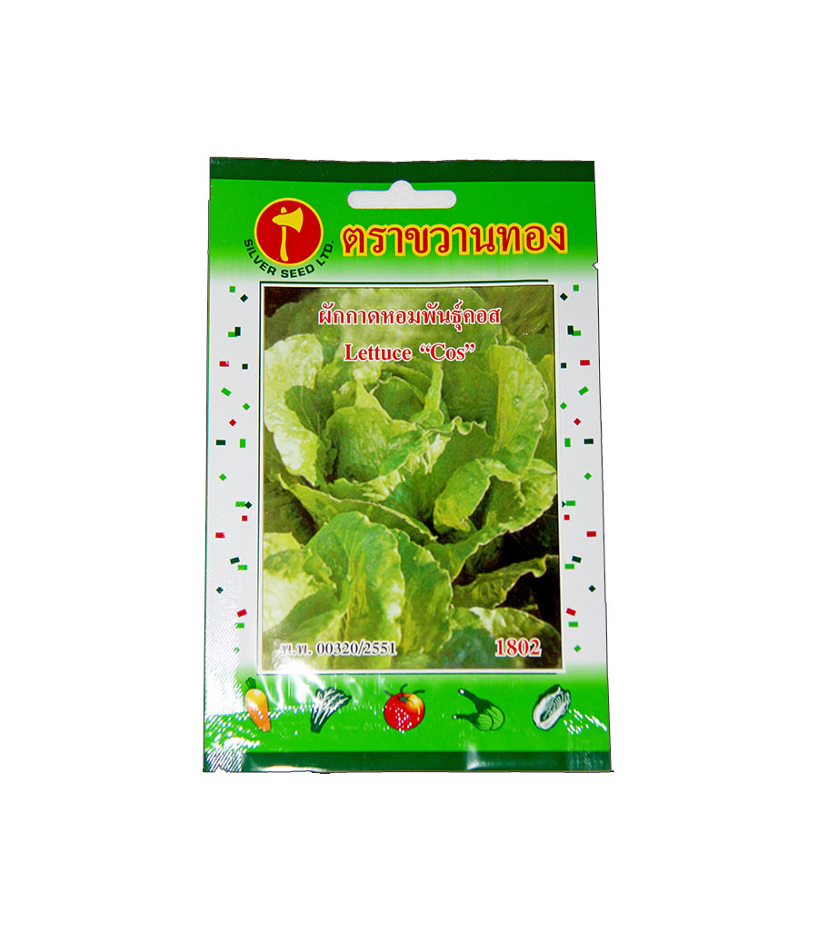 เมล็ดผักสลัด salad lattice vegetable ขนาด 1 กรัม