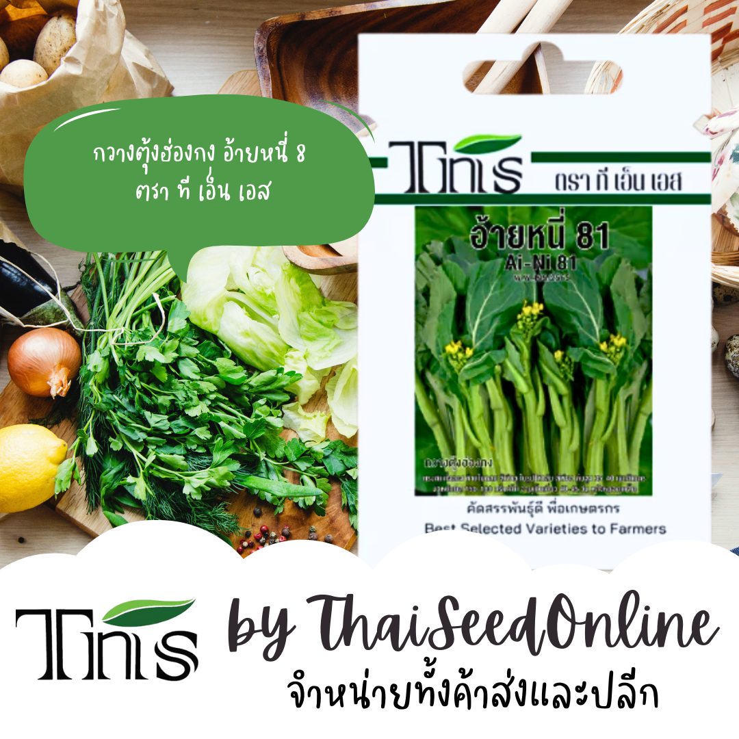 TNS(ทีเอ็นเอส) TNS เมล็ดพันธุ์แบบซองเล็ก กวางตุ้งฮ่องกง อ้ายหนี่ 81 ตรา ที เอ็น เอส