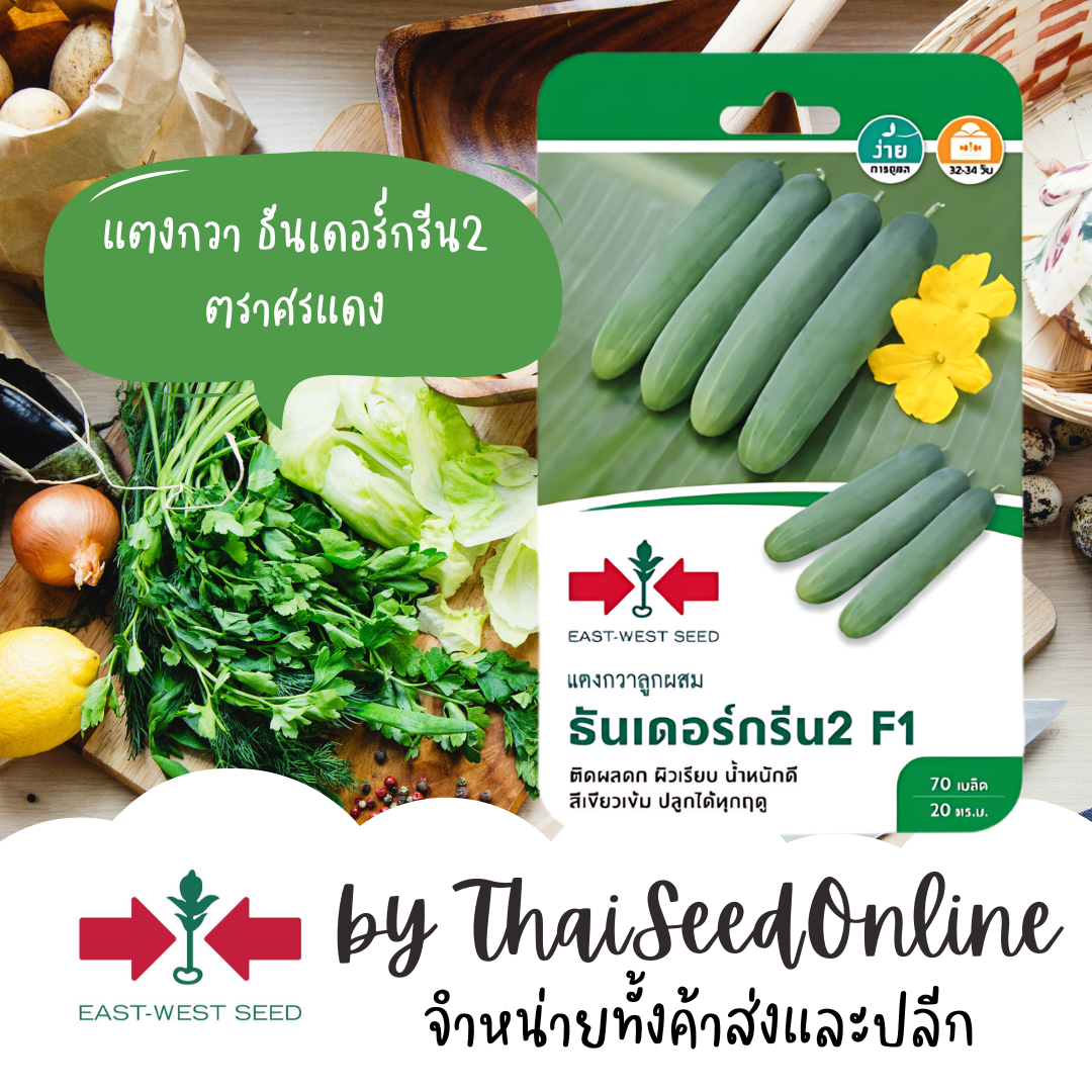 Sorndang(ศรแดง) GGEW เมล็ดพันธุ์ซฟ แตงกวา ธันเดอร์กรีน2 70เมล็ด ตราศรแดง Cucumber