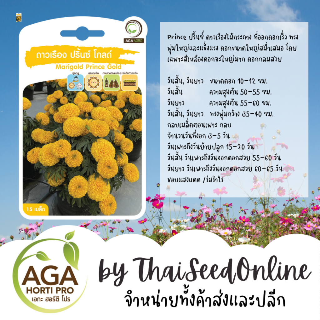 Chia Tai(เจียไต๋) AGAPREMIUM ดาวเรืองปรินซ์ โกลด์ เมล็ดดาวเรือง 15เมล็ด ตราเอกะอะโกร Marigold