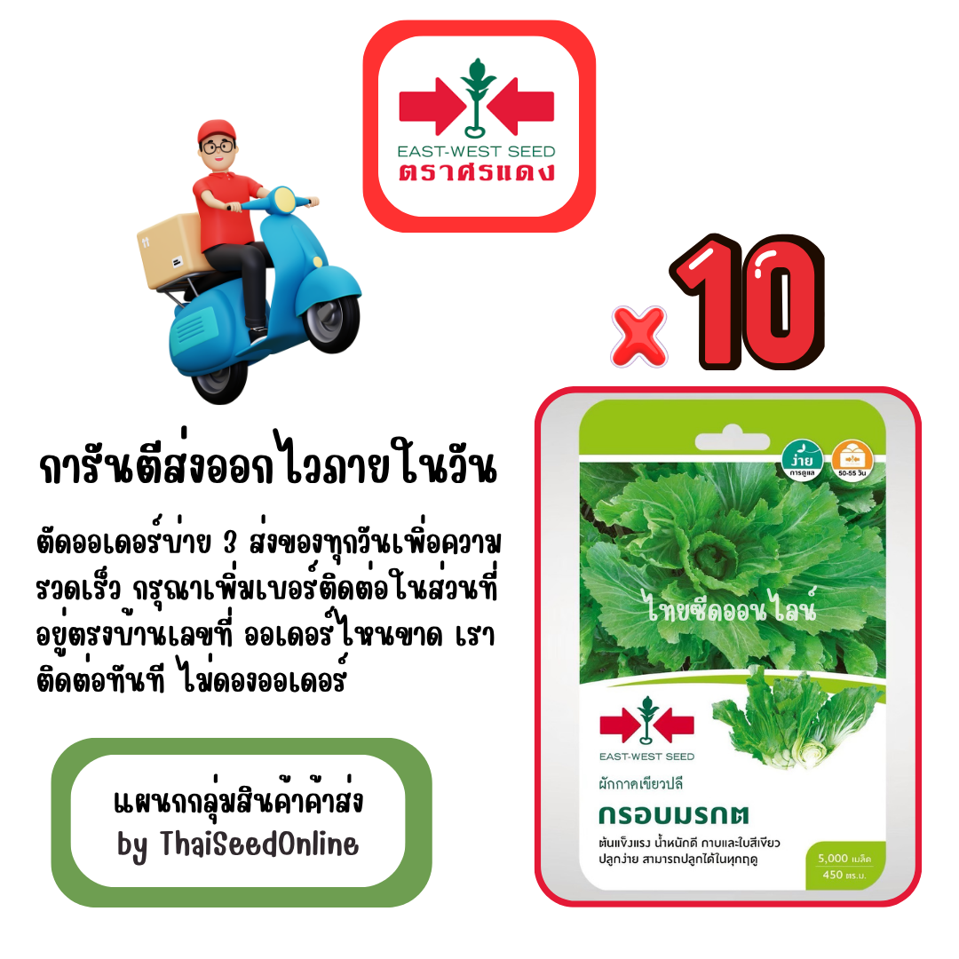 GGx10 เมล็ดผักซองศรแดง กรอบมรกต เขียวปลี สินค้ายกแพ็ค