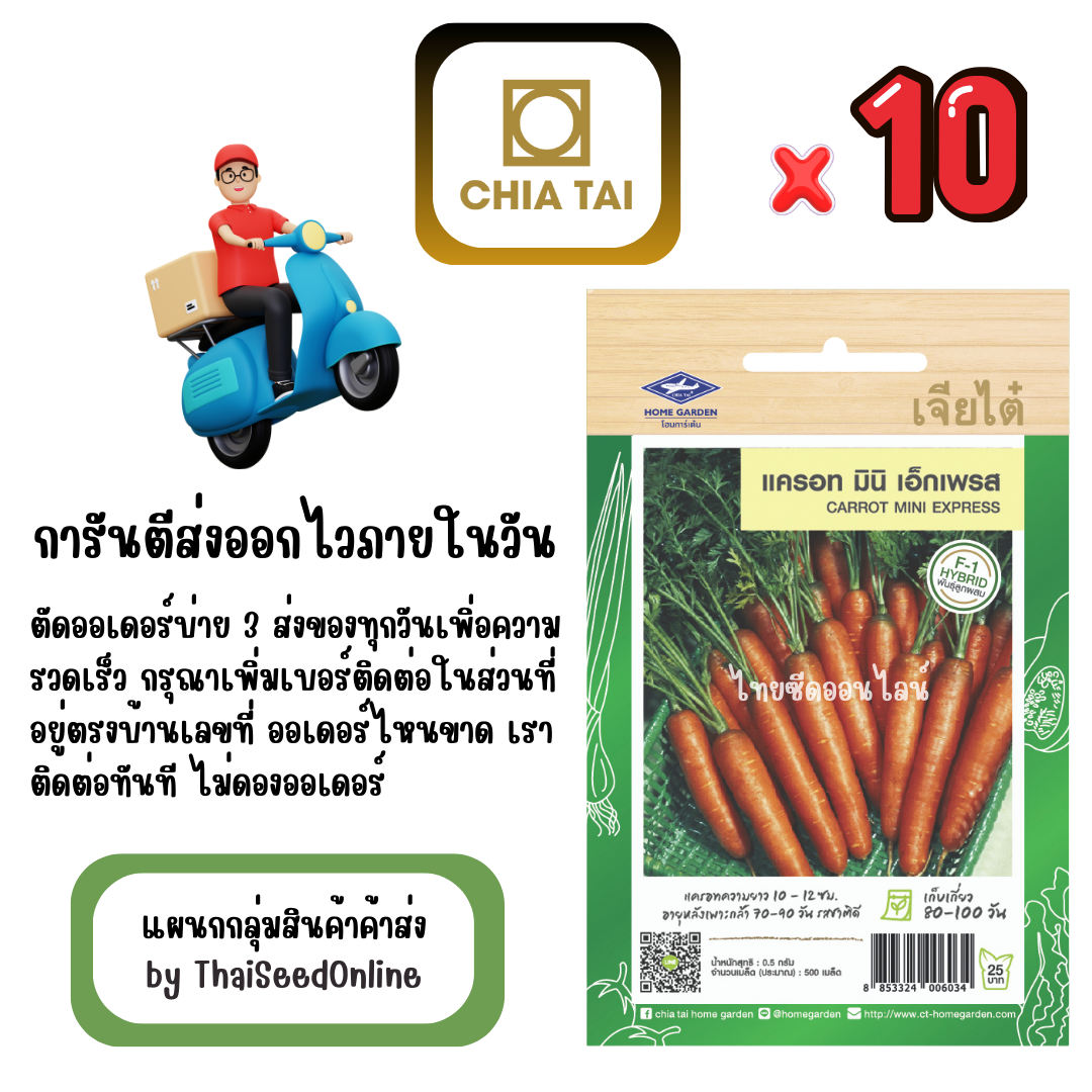 CTF1 x 10 เมล็ดผักซองเจียไต๋ แครอทจิ๋ว แครอท มินิเอ็กเพรส สินค้ายกแพ็ค