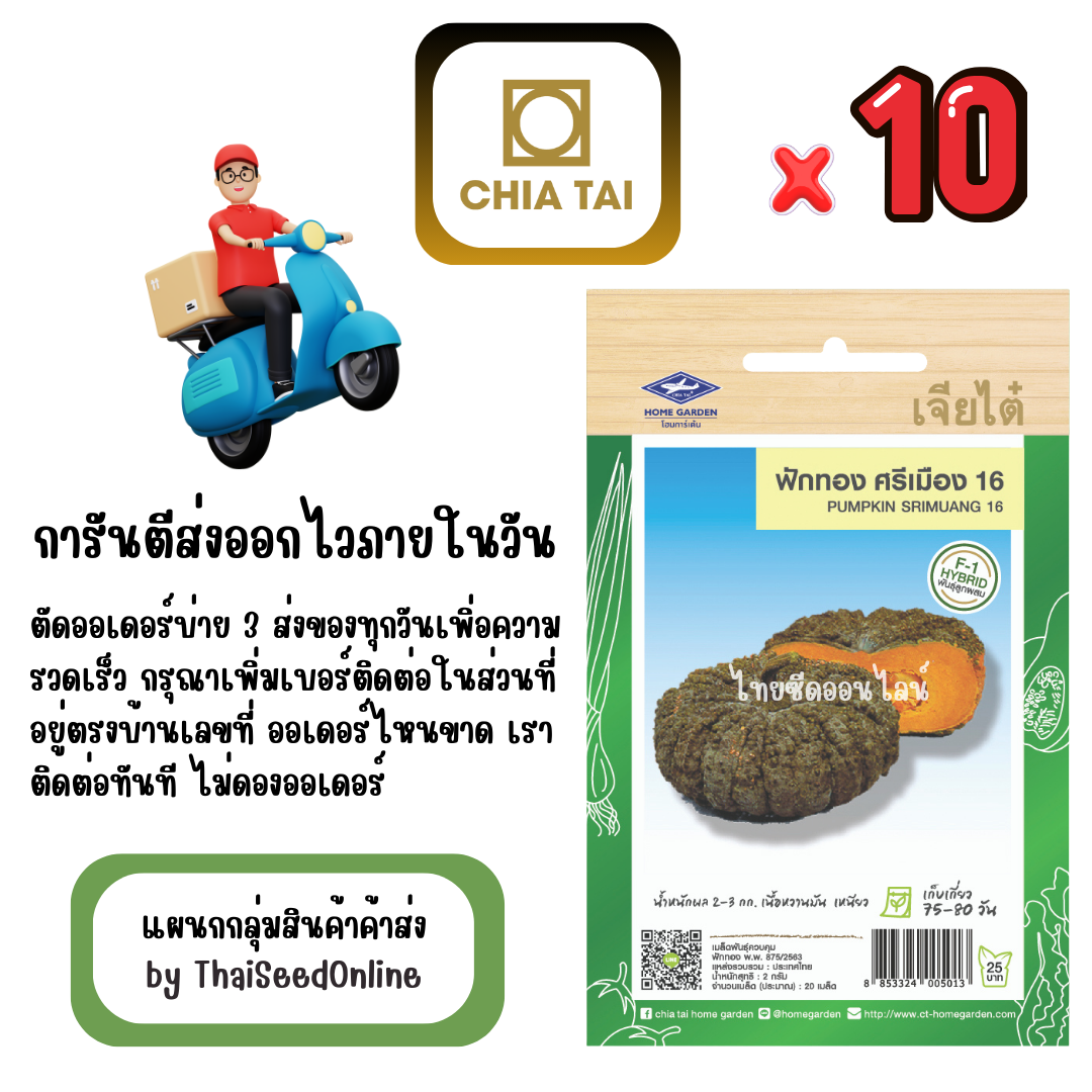 CTF1 x 10 เมล็ดผักซองเจียไต๋ ฟักทอง ศรีเมือง 16 (ลูกผสม) สินค้ายกแพ็ค