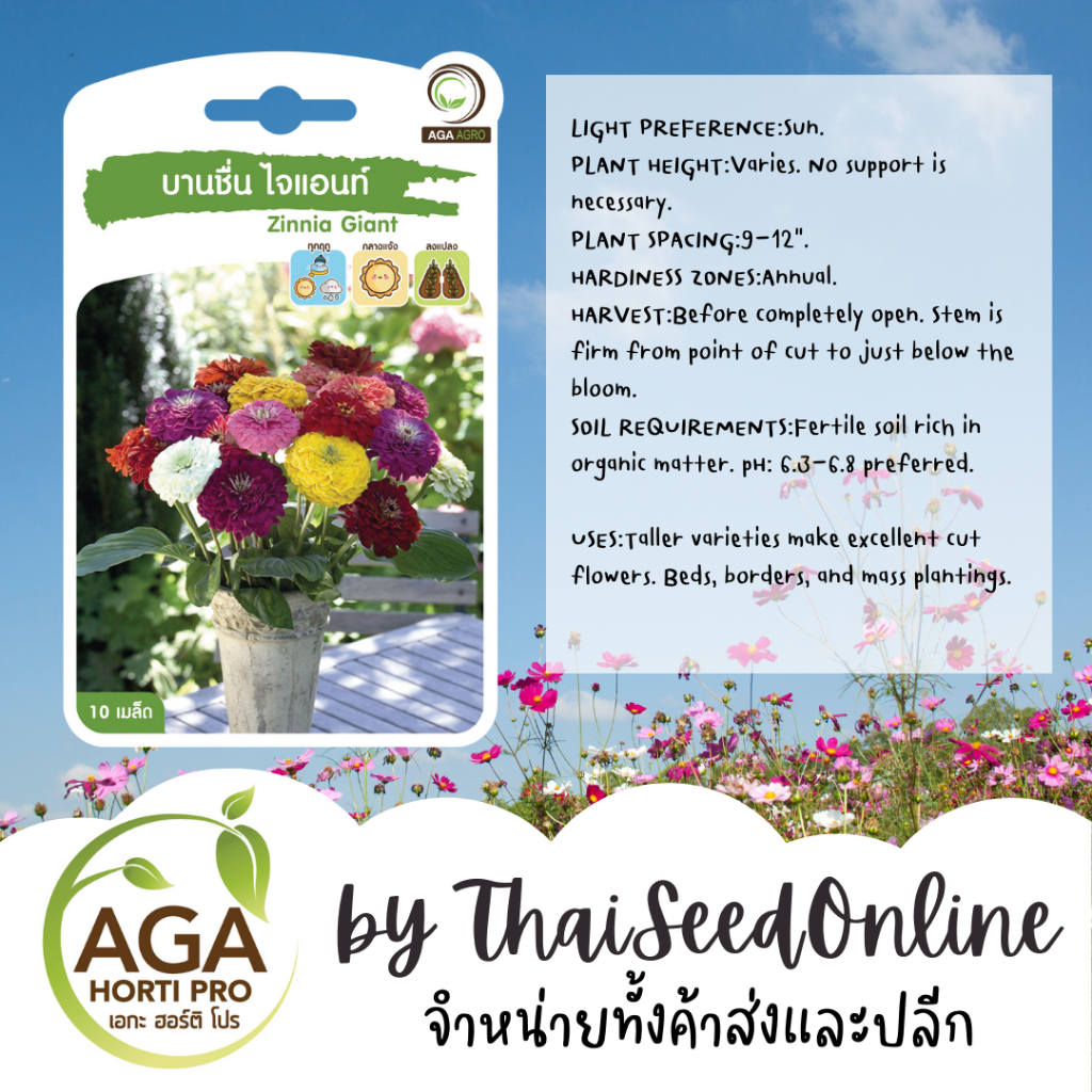 AGA Agro(เอกะ อะโกร) AGAPREMIUM บานชื่นตัดดอก ไจแอนท์ 10เมล็ด ตราเอกะอะโกร Zinnia