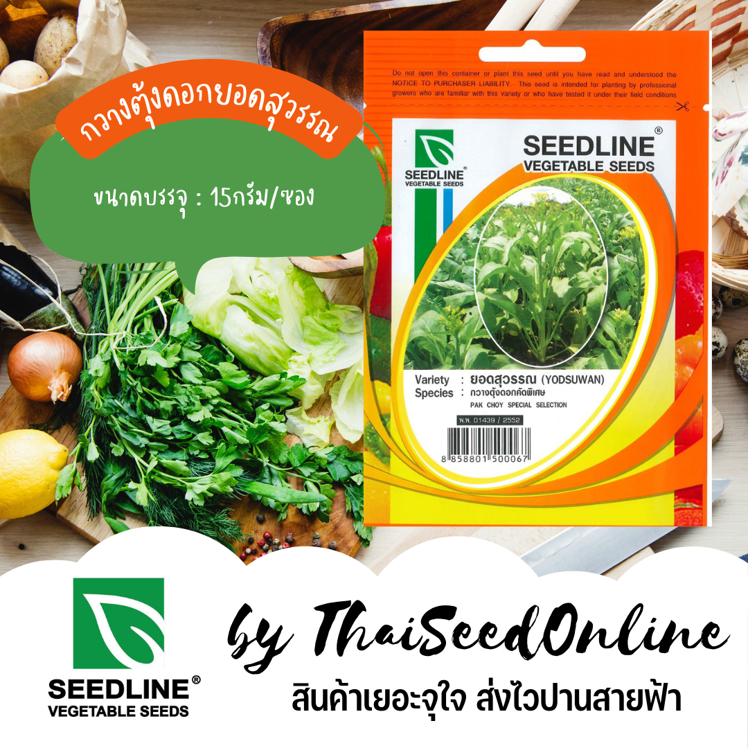 SL เมล็ดพันธุ์ซองเล็ก กวางตุ้งยอดสุวรรณ ตราซีดไลน์