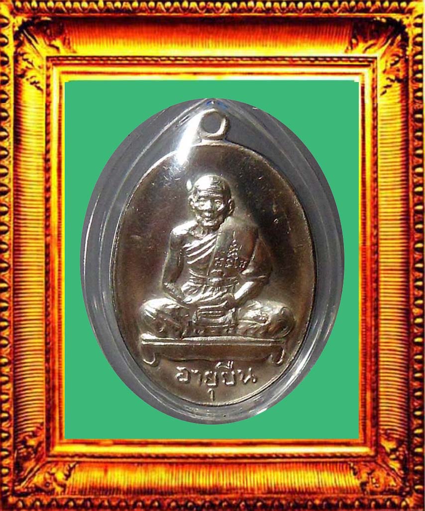 เหรียญอายุยืนเต็มองค์เนื้อเงินหลวงปู่สีวัดเขาถ้ำบุญนาค องค์ที่j 1