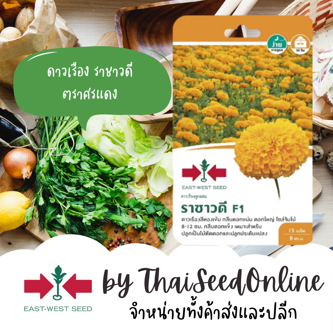 GGEW เมล็ดพันธุ์ซฟ ดาวเรืองตัดดอกและประดับแปลง ดาวเรืองราชาวดี ตราศรแดง Marigold เมล็ดดอกไม้