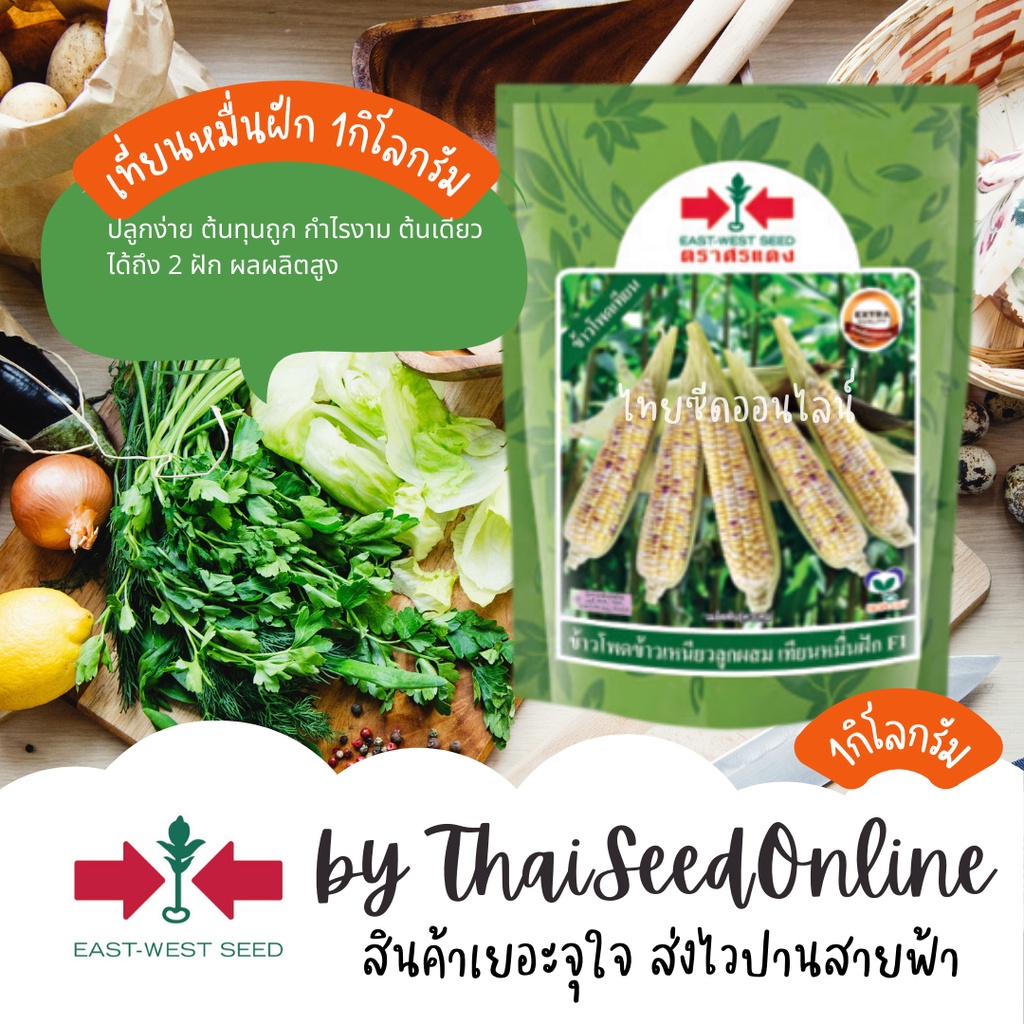 ตราศรแดง EWCOM ถุงใหญ่ไซส์ 1 กิโลกรัม ข้าวโพดข้าวเหนียวเทียนหมื่นฝัก ข้าวโพดเทียน ตราศรแดง Corn เทียนสามสี