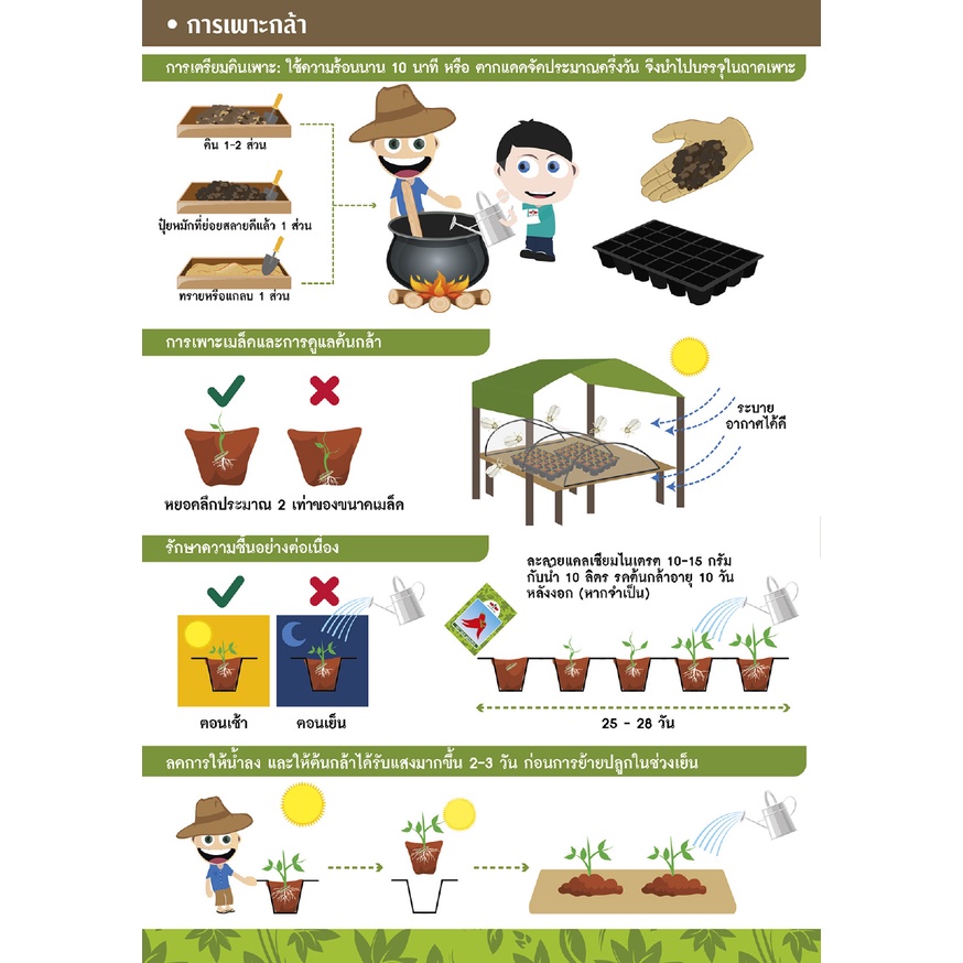 GGEW เมล็ดพันธุ์ พริกหนุ่มขาวลูกผสม หยกขาว F1 150เมล็ด ตราศรแดง