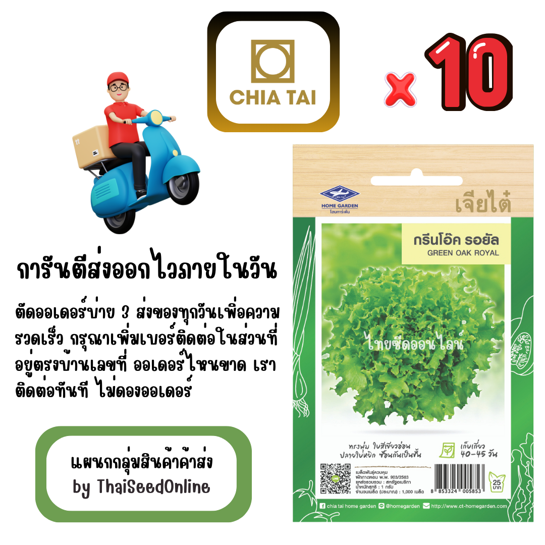 CTF1 x 10 เมล็ดผักซองเจียไต๋ กรีนโอ๊ค รอยัล สินค้ายกแพ็ค