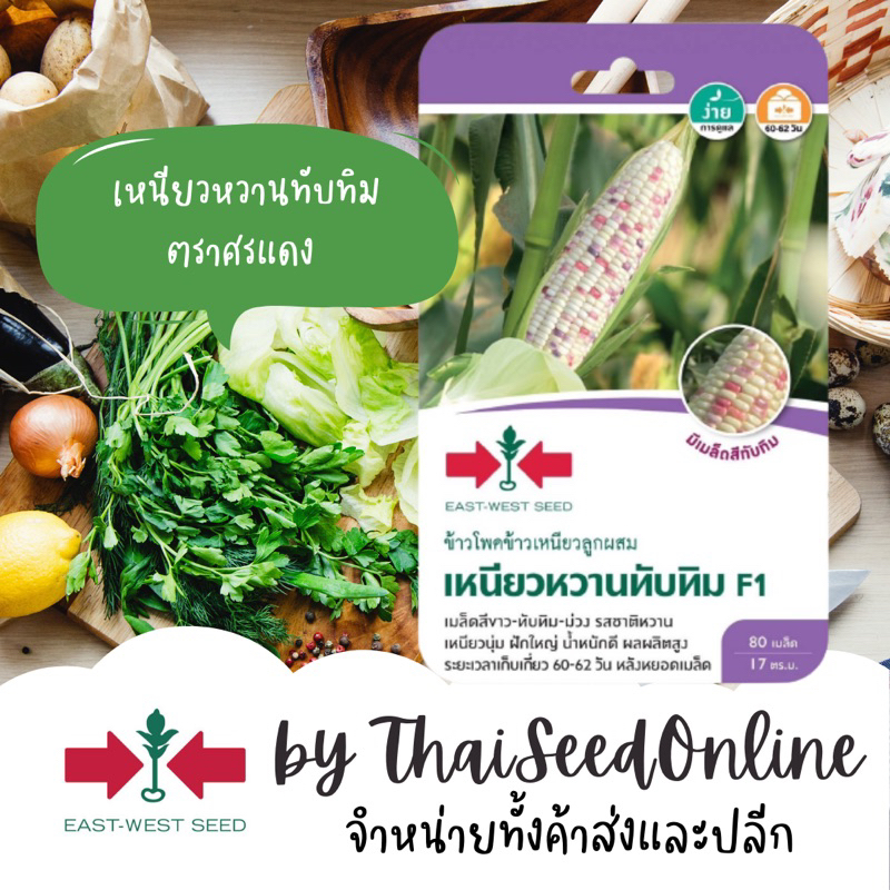 Sorndang(ศรแดง) GGEW เมล็ดพันธุ์ซฟ เมล็ดพันธุ์ ข้าวโพดข้าวเหนียว เหนียวหวานทับทิม 80เมล็ด ตราศรแดง Waxy Corn