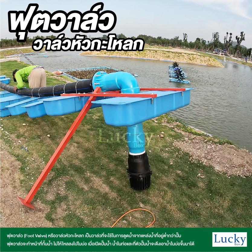 ฟุตวาล์ว (Foot Valve) วาล์วหัวกะโหลก ขนาด 4 นิ้ว