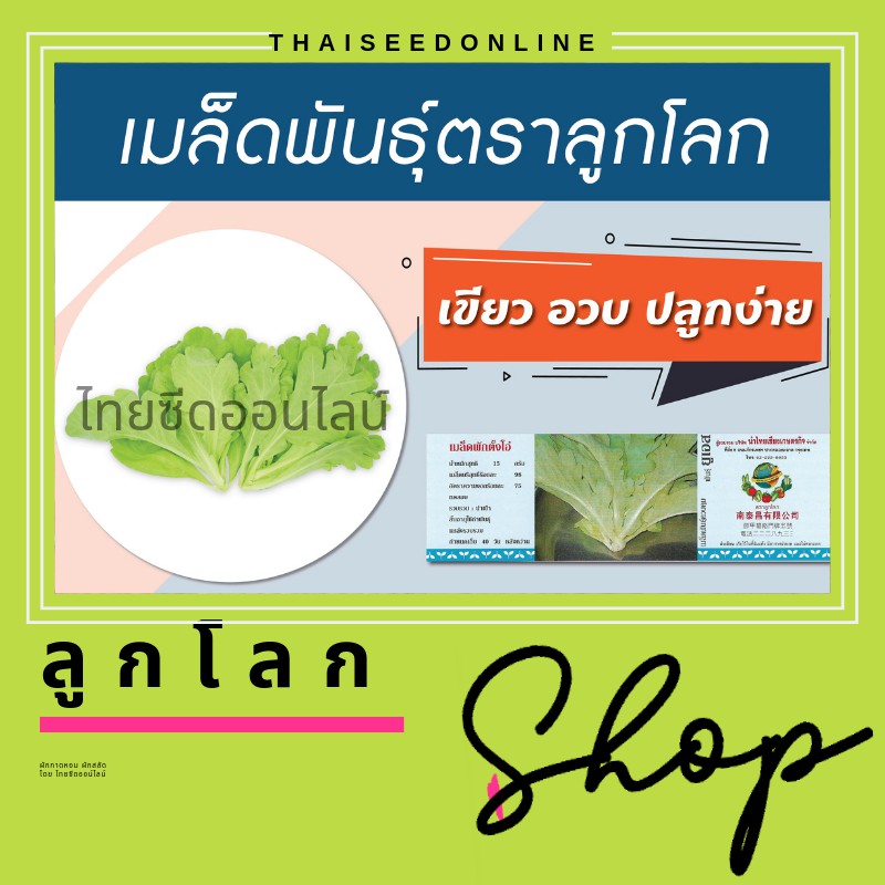 เมล็ดพันธุ์ กป 60 กรัม ตั้งโอ๋ ตราลูกโลก ตังโอ๋