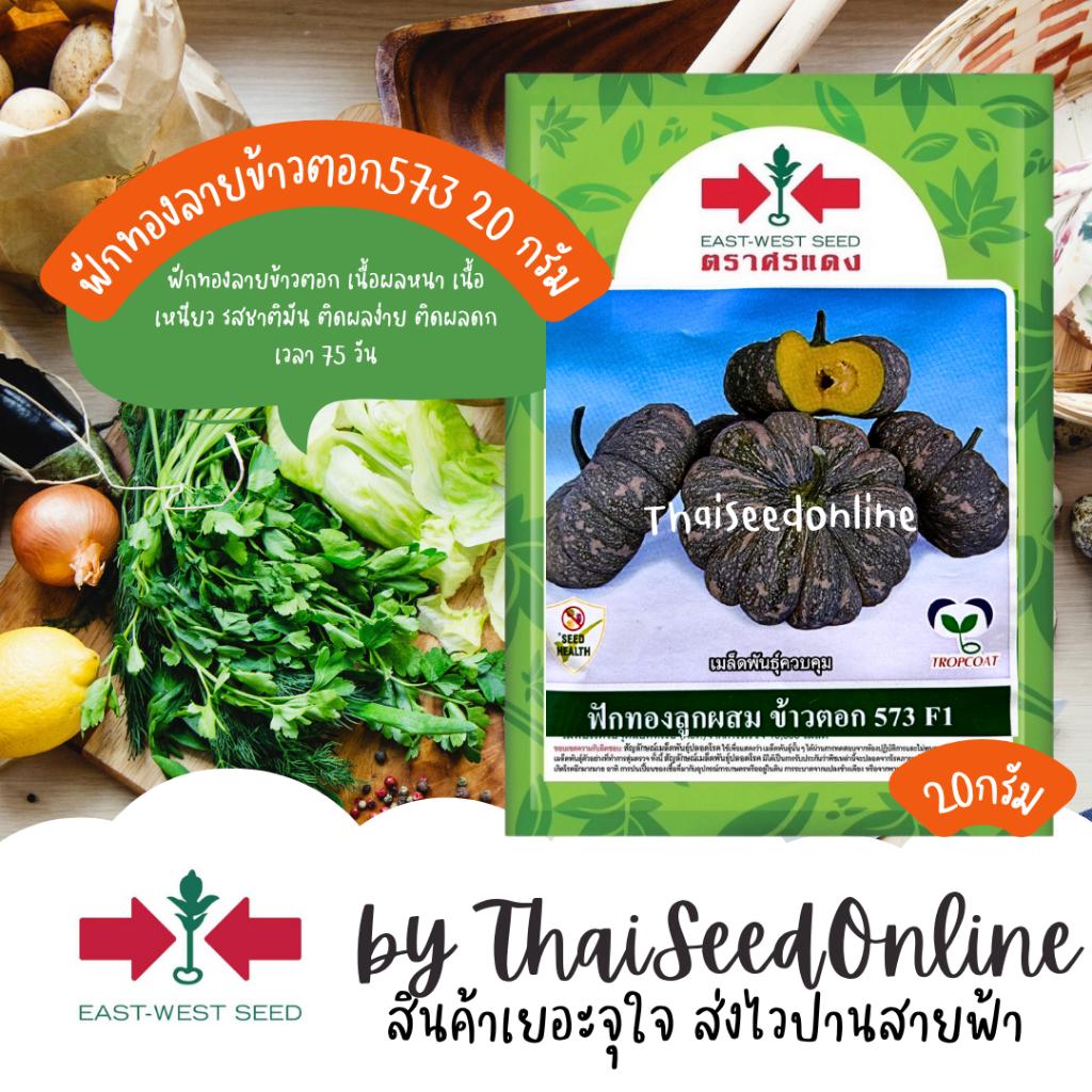 Sorndang(ศรแดง) EWCOM ถุงแพ็คเกจใหม่ เมล็ดพันธุ์ 20g ฟักทองลายข้าวตอก 573 ขนาด 20 กรัม ตราศรแดง Pumpkin
