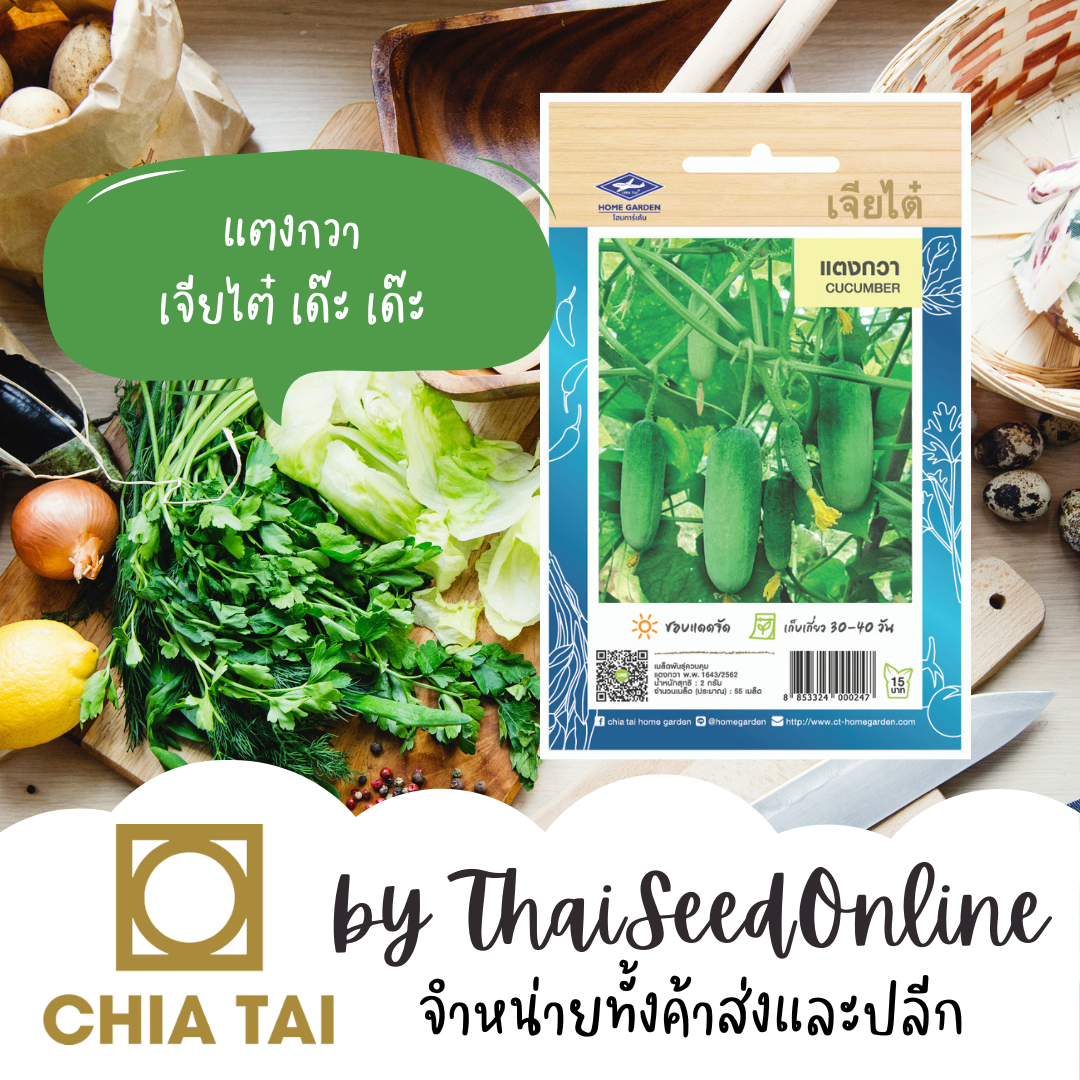 CTOP เมล็ดพันธุ์ แตงกวา 55 เมล็ด ตราเจียไต๋ Cucumber