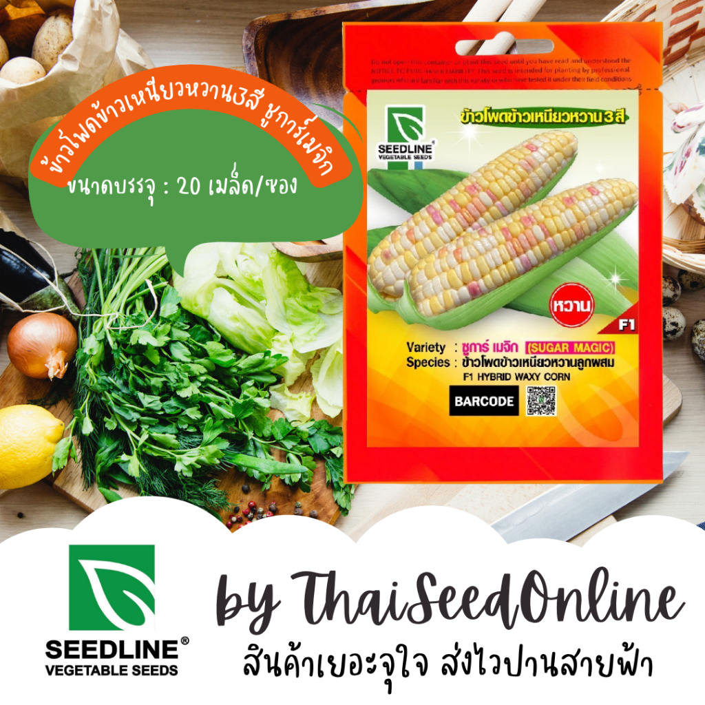 Seed Line(ซีดไลน์) SL เมล็ดพันธุ์ซองเล็ก ข้าวโพดข้าวเหนียว แบบหวานน่ม ซูการ์ เมจิก ตราซีดไลน์