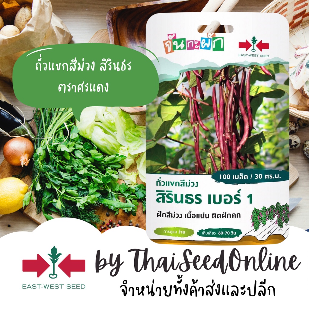 ตราศรแดง GGEW ถั่วแขกสีม่วง สิรินธร เบอร์1 100เมล็ด ตราศรแดง เมล็ดพันธุ์พระราชทาน จันกะผัก Bush Bean