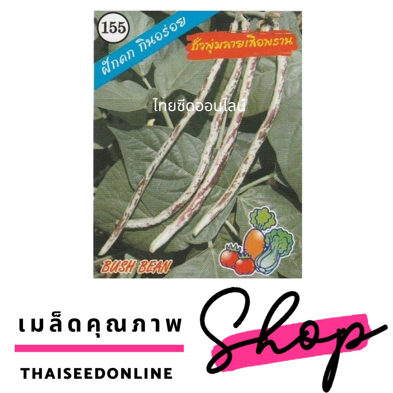 เมล็ดพันธุ์ ถั่วพุ่ม ถั่วฝักยาวพุ่ม ลายเสือพราน ตราตองสาม (333)เครือสามเอ (AAA)ถั่วไร้ค้าง ถั่วฝักยาวไร้ค้าง