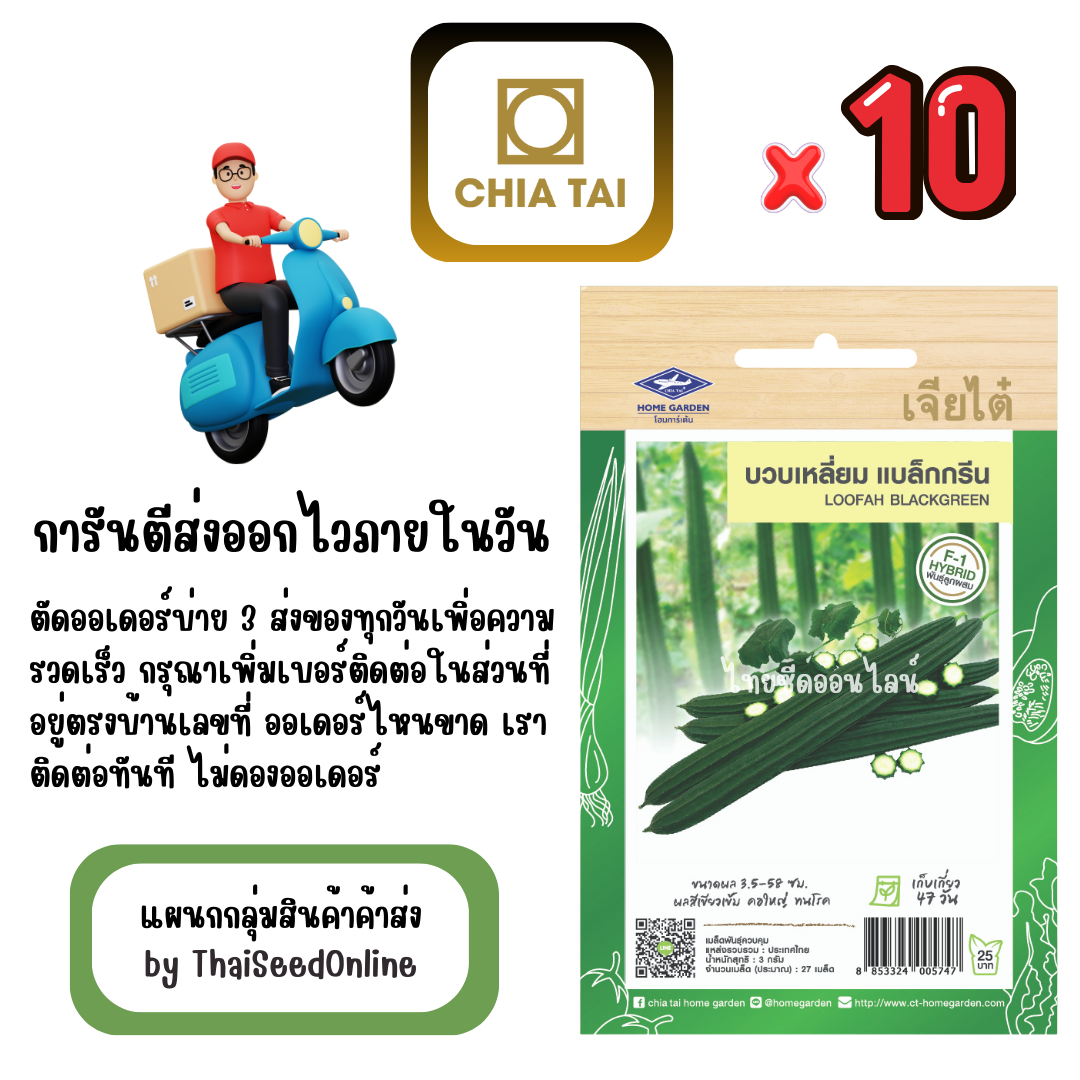 CTF1 x 10 เมล็ดผักซองเจียไต๋ บวบเหลี่ยม แบล็คกรีน สินค้ายกแพ็ค