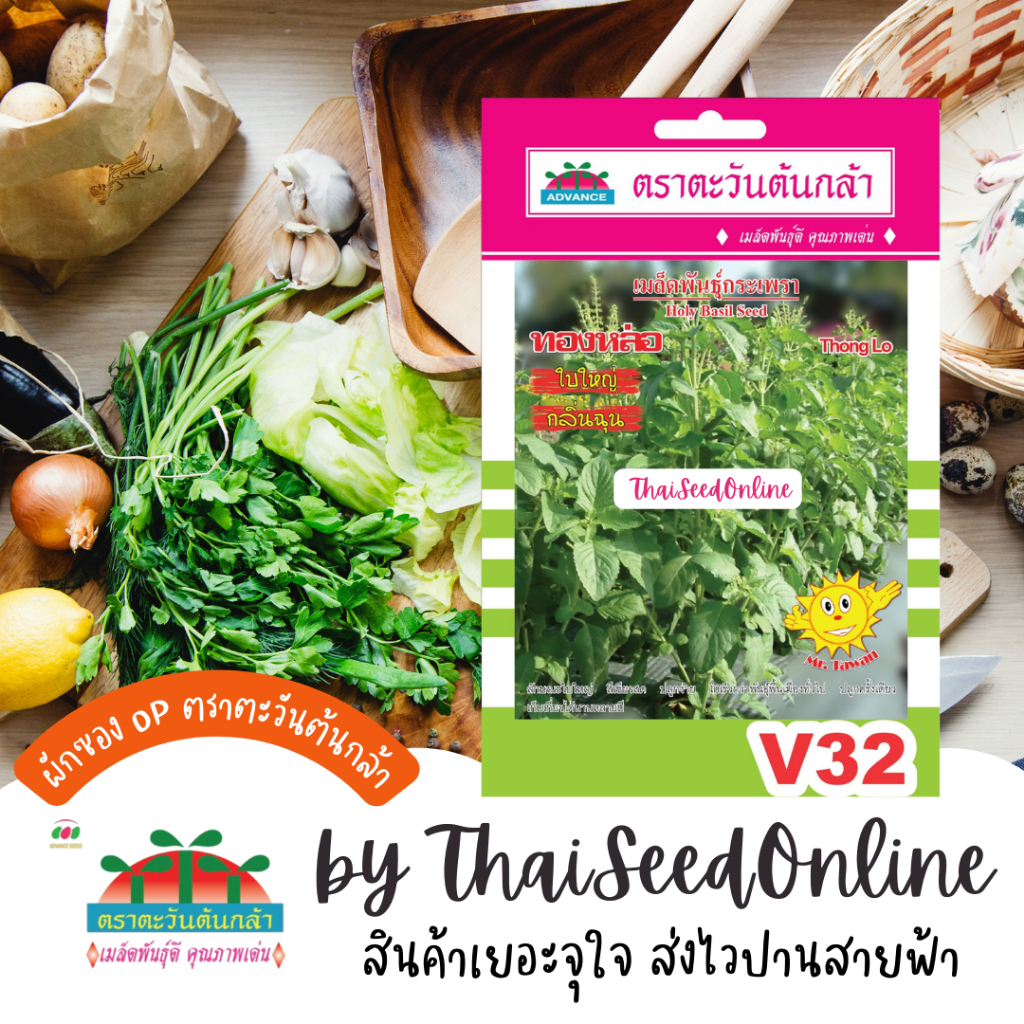 Advance Seeds(ตราตะวันต้นกล้า) ADVOP ซฟ เมล็ดพันธุ์ กะเพรา ทองหล่อ ตราตะวันต้นกล้า V32
