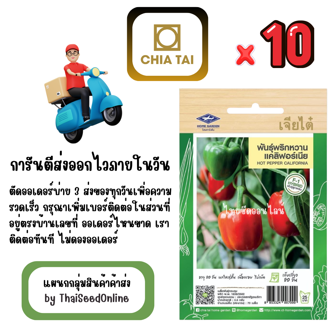 CTF1 x 10 เมล็ดผักซองเจียไต๋ พริกหวาน แคลิฟอร์เนีย สินค้ายกแพ็ค