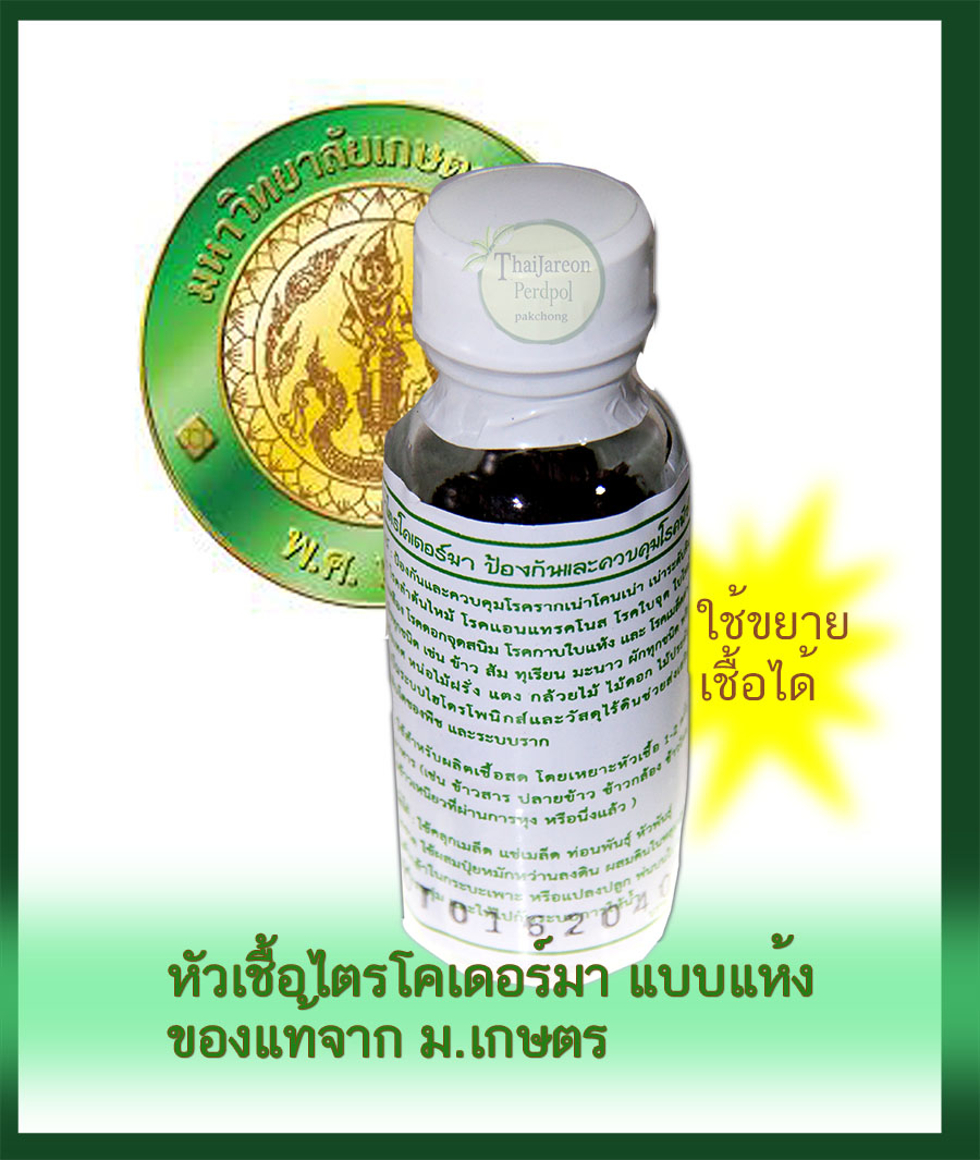 หัวเชื้อราไตรโคเดอร์ม่า (1 ขวด 20 กรัม) ม.เกษตรกำแพงแสน แท้100% ชนิดผงแห้ง ขยายเป็นเชื้อสดได้ประมาณ 15-20 กก. มีคู่มือการขยายเชื้อภาษาไทย