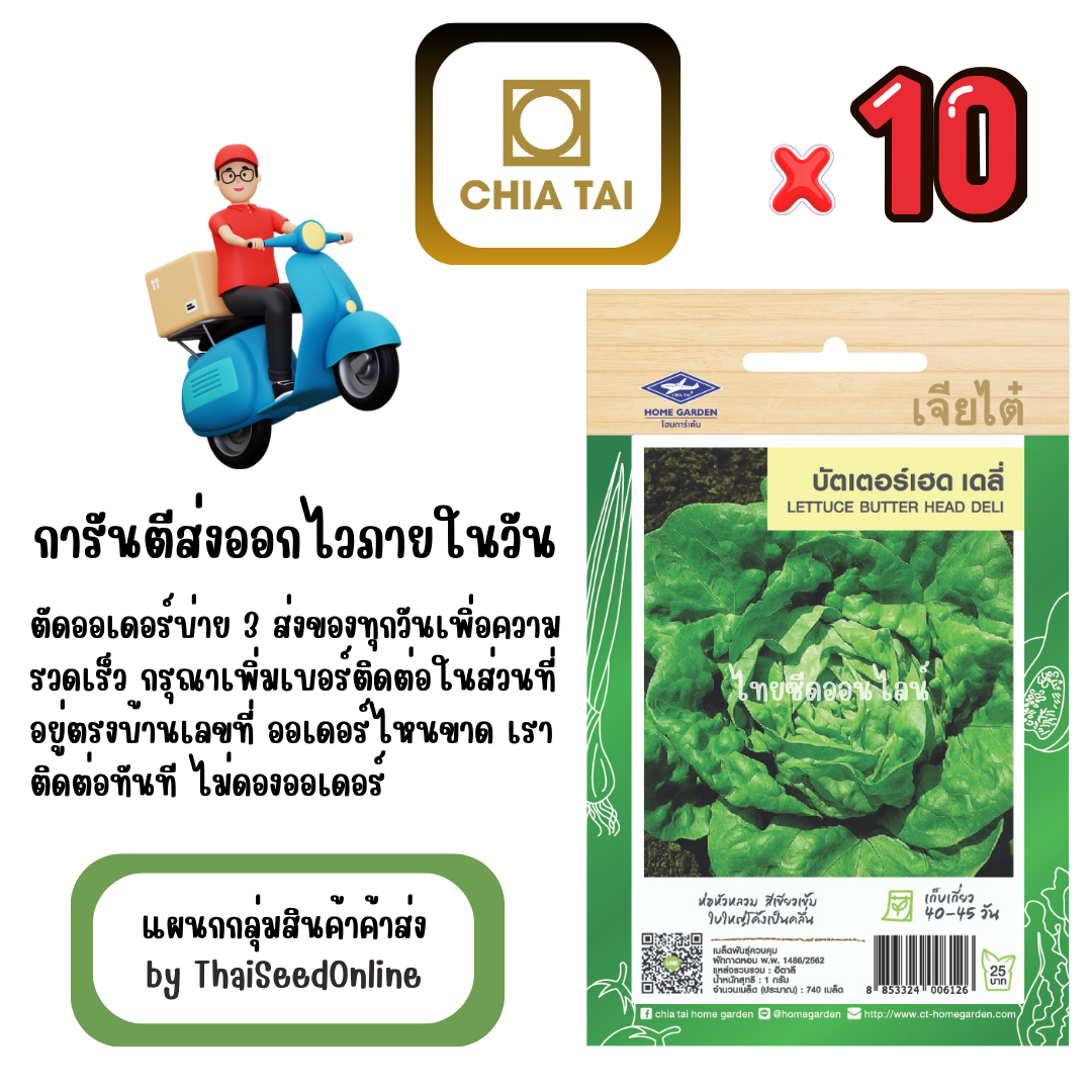 CTF1 x 10 เมล็ดผักซองเจียไต๋ ผักสลัด บัตเตอร์เฮด เดลี่ สินค้ายกแพ็ค