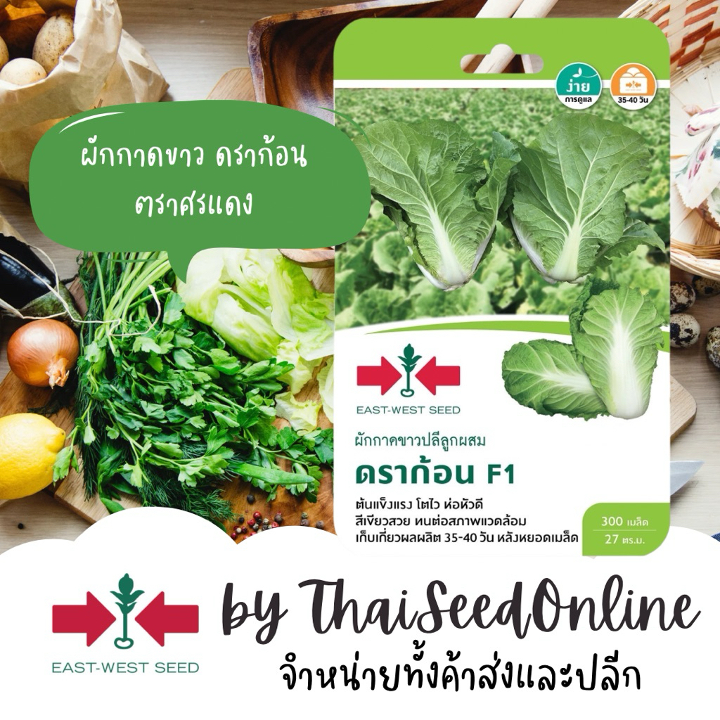 Sorndang(ศรแดง) GGEW เมล็ดพันธุ์ ขาวปลี ดราก้อน 300 เมล็ด ตราศรแดง Cabbage