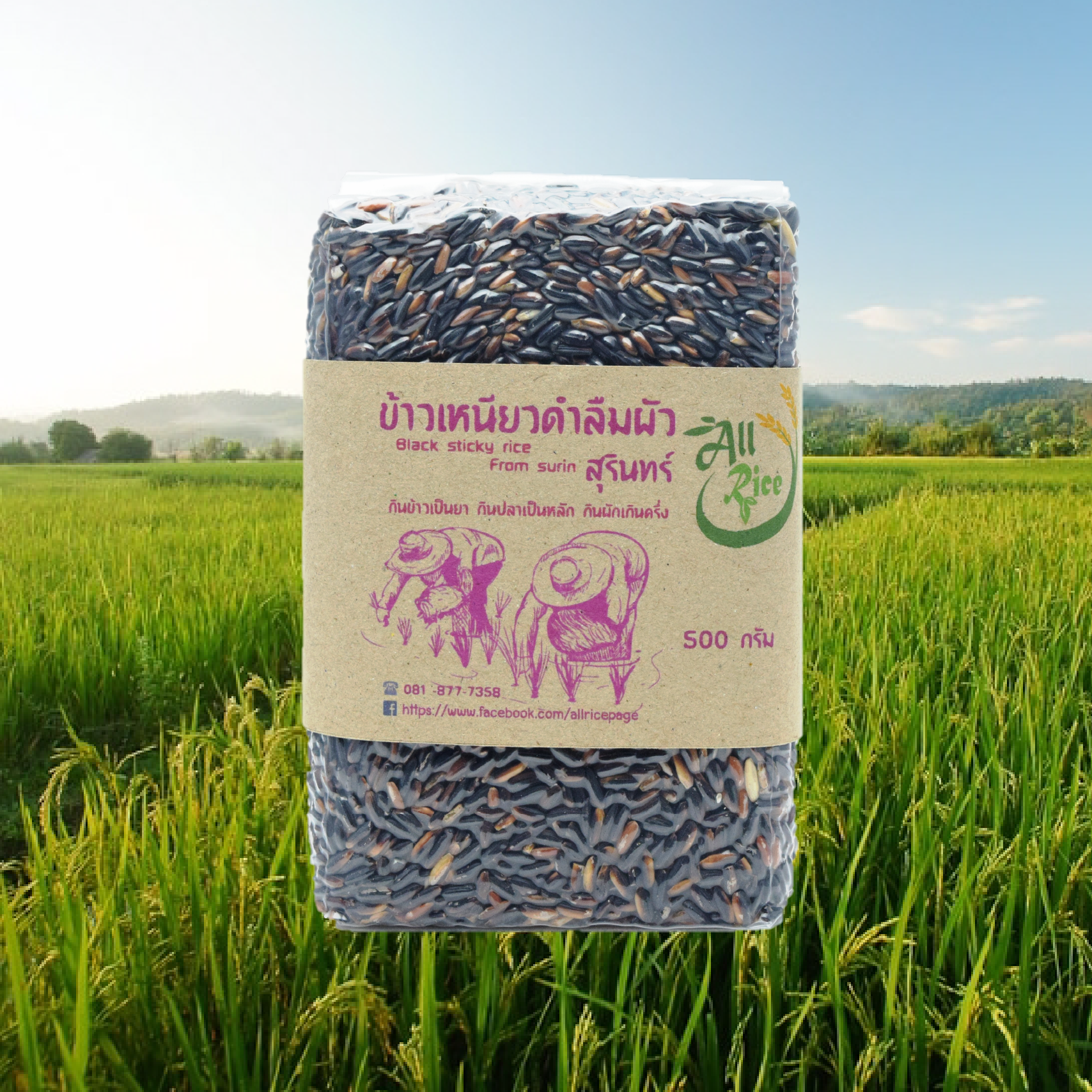 ข้าวเหนียวดำสุรินทร์ 500 กรัม